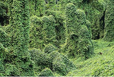 Ninja Theor澄清《地狱之刃2》不会使用AI配音